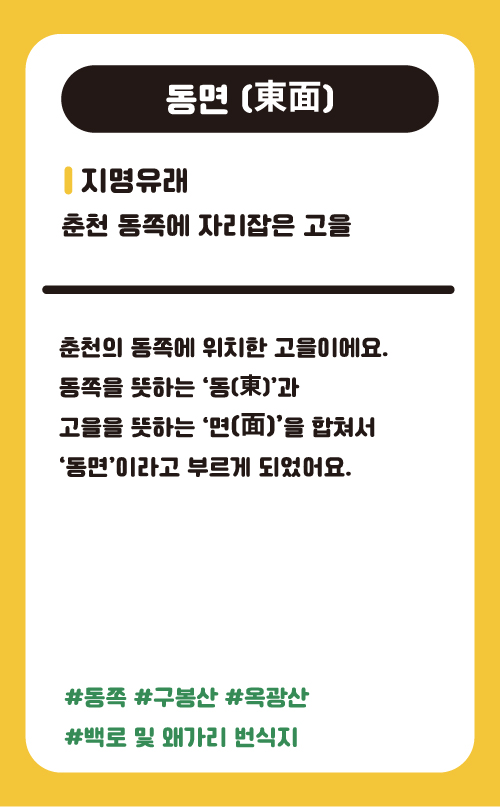 동면